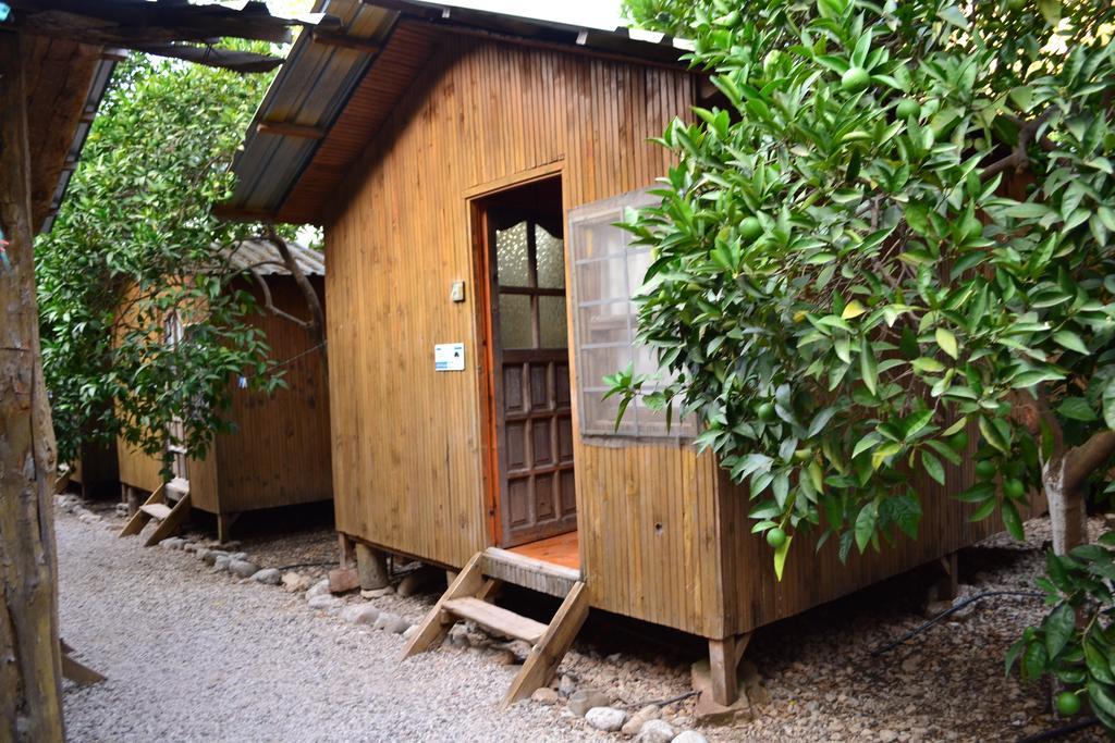 Olympos Yakamoz Pansiyon Habitación foto