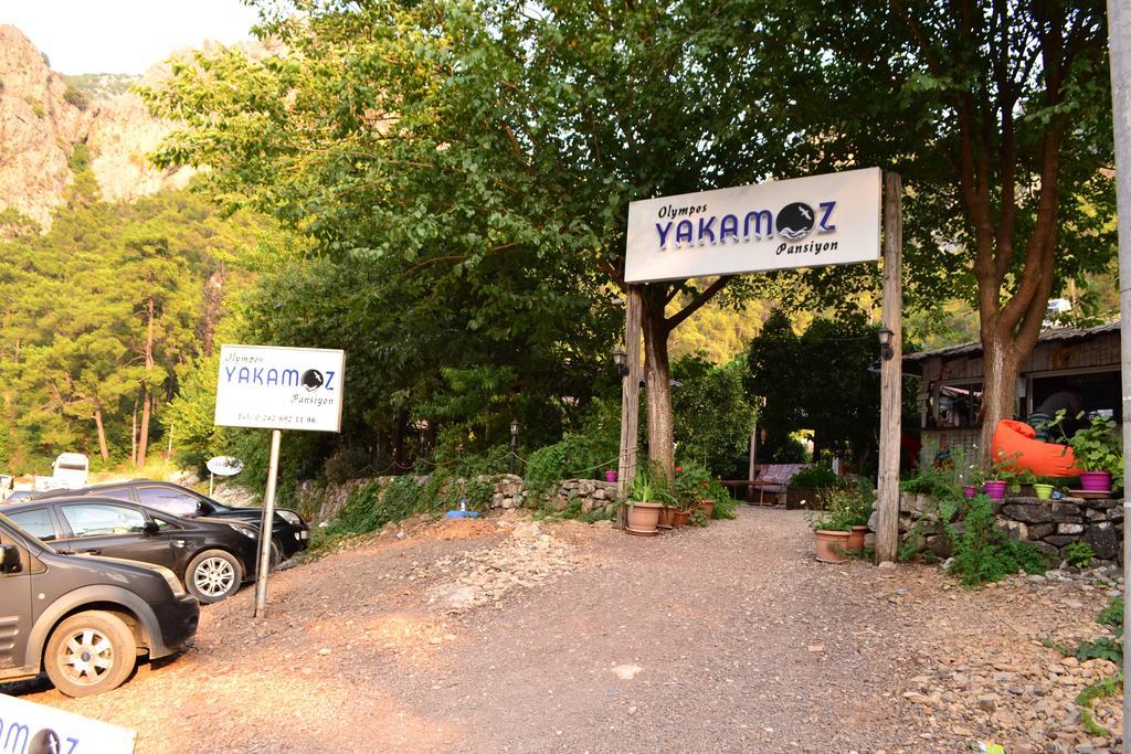 Olympos Yakamoz Pansiyon Exterior foto