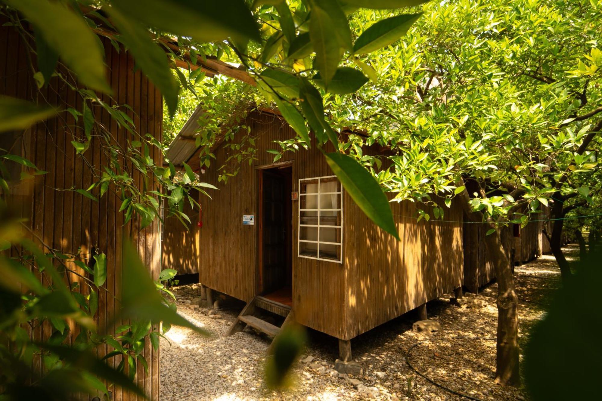 Olympos Yakamoz Pansiyon Exterior foto