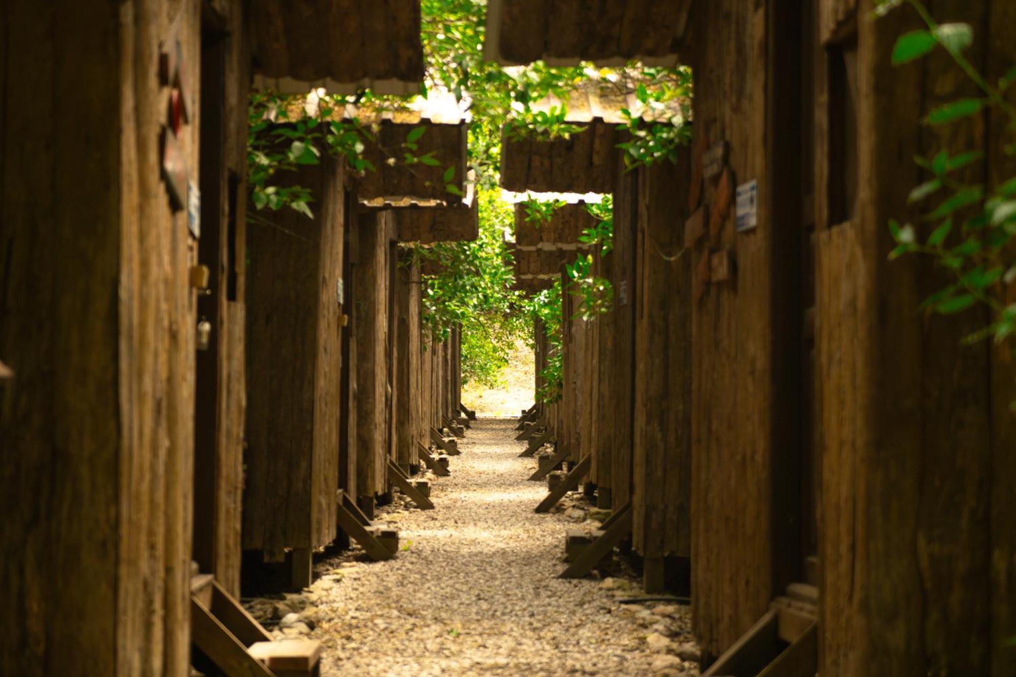 Olympos Yakamoz Pansiyon Exterior foto