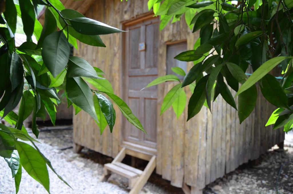 Olympos Yakamoz Pansiyon Habitación foto