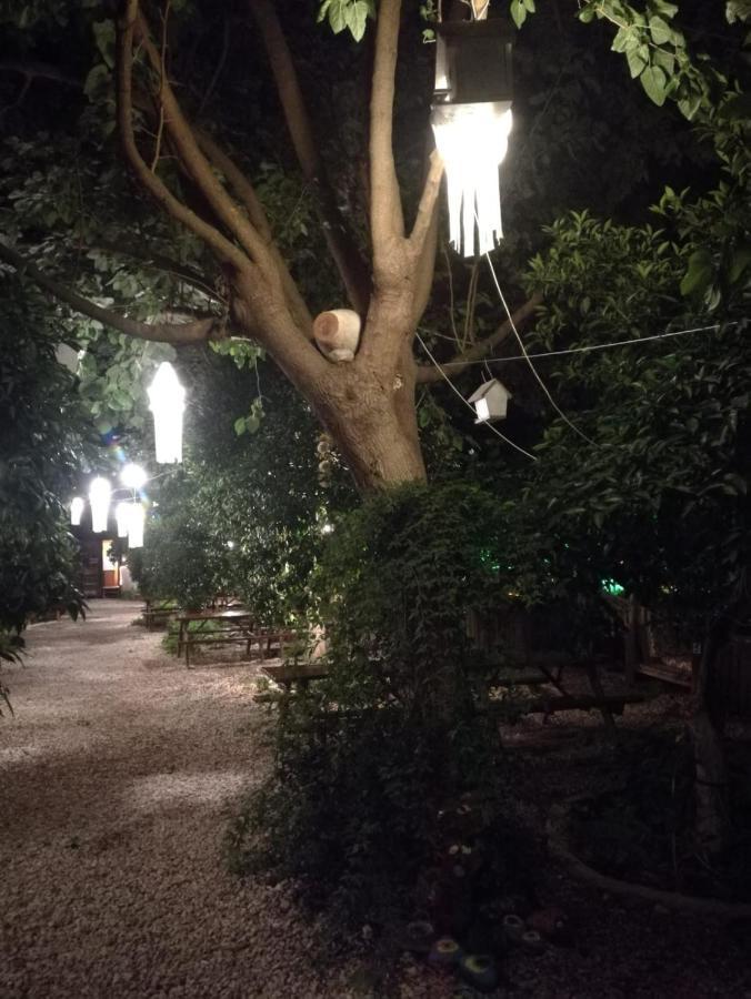 Olympos Yakamoz Pansiyon Exterior foto