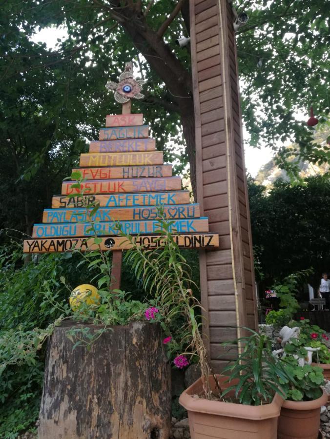 Olympos Yakamoz Pansiyon Exterior foto