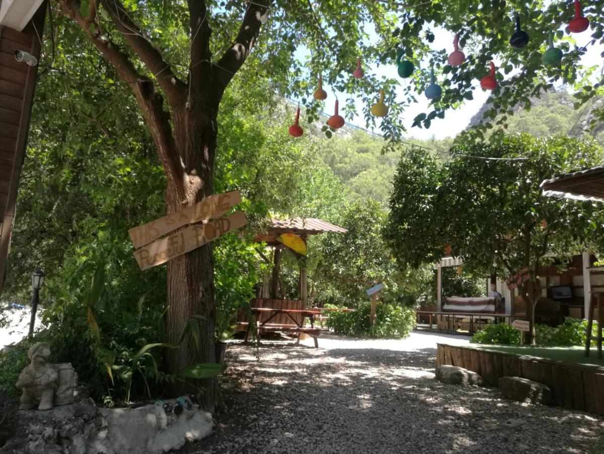 Olympos Yakamoz Pansiyon Exterior foto