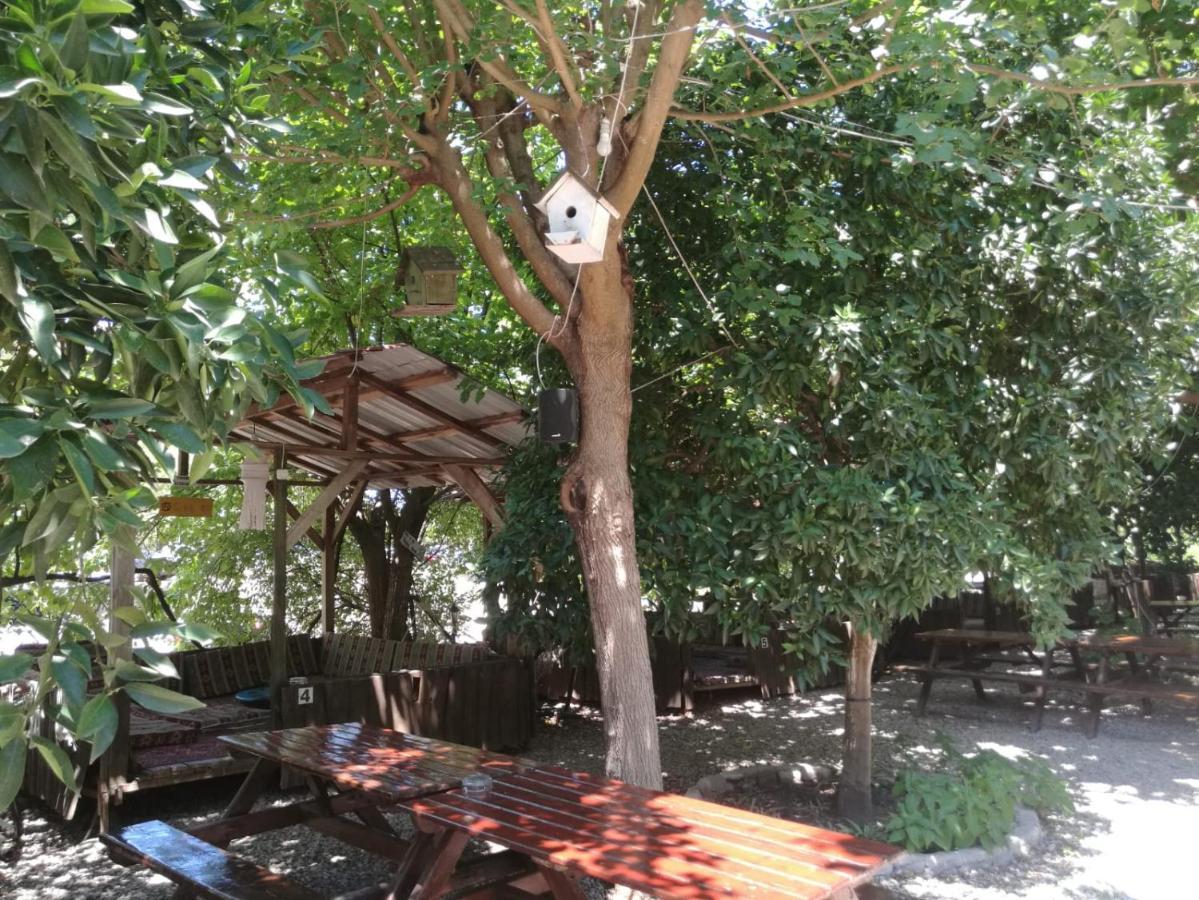 Olympos Yakamoz Pansiyon Exterior foto