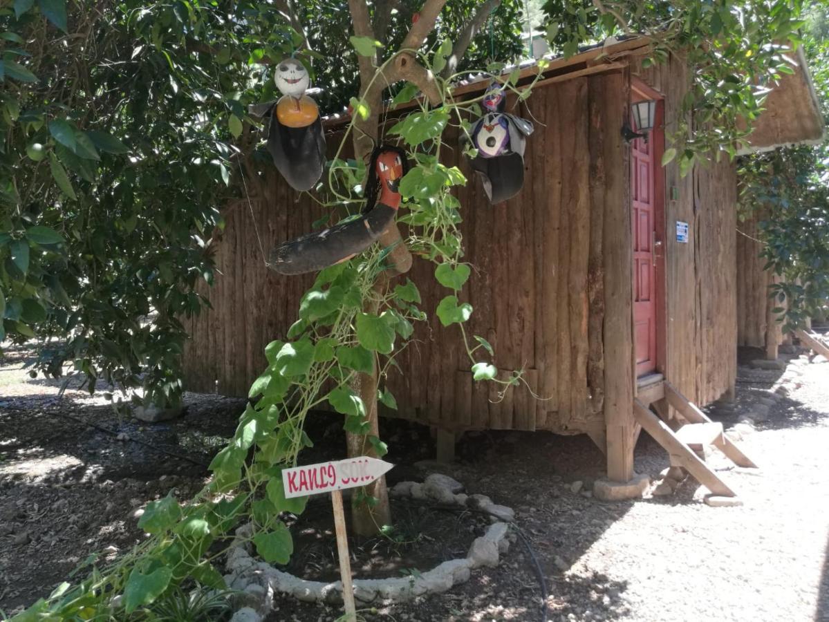 Olympos Yakamoz Pansiyon Exterior foto