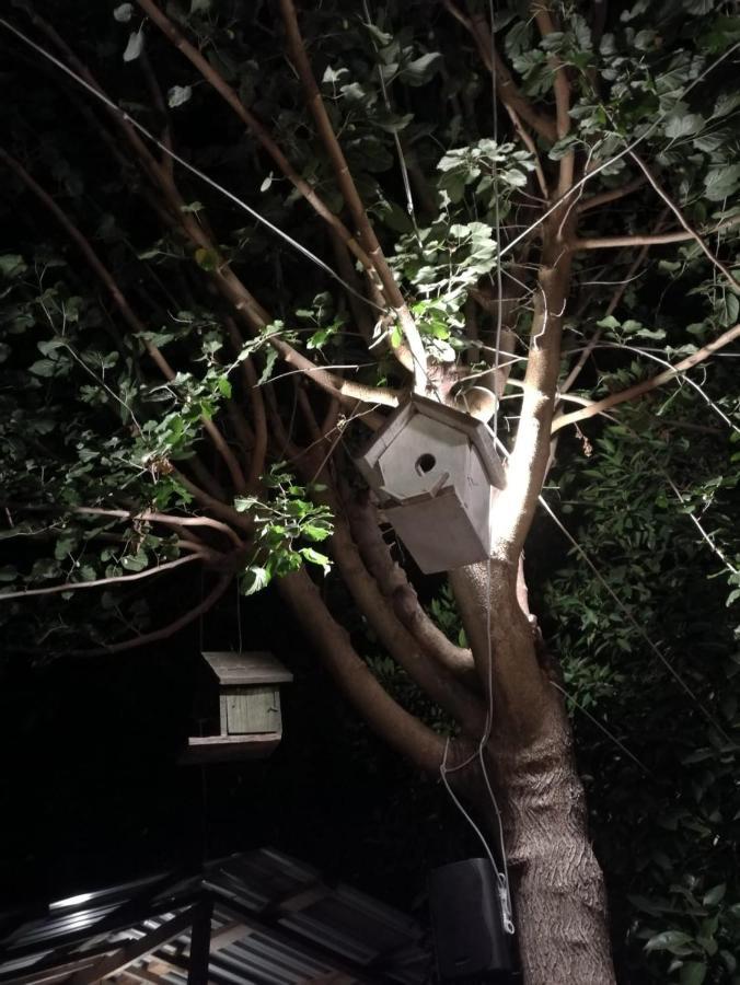 Olympos Yakamoz Pansiyon Exterior foto