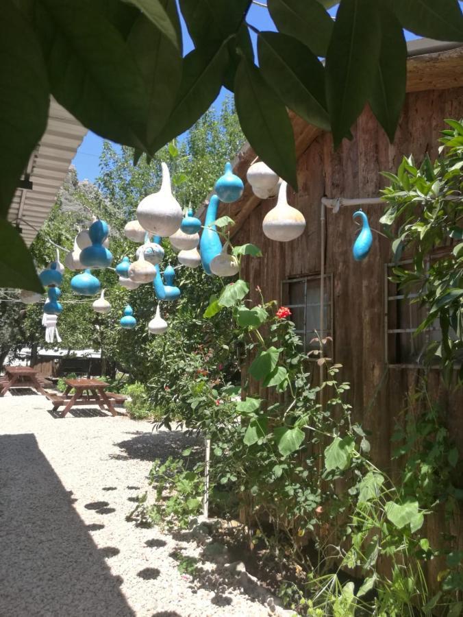 Olympos Yakamoz Pansiyon Exterior foto