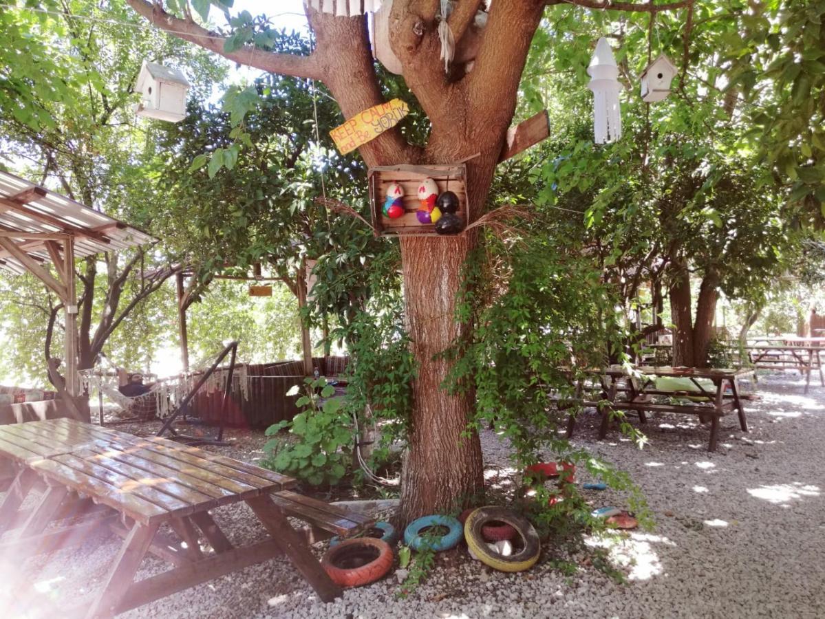 Olympos Yakamoz Pansiyon Exterior foto