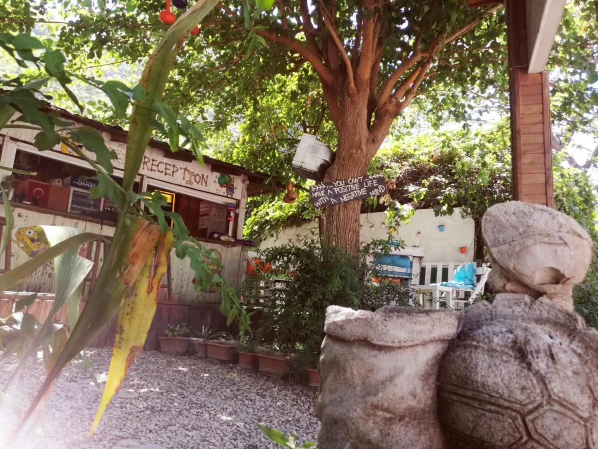 Olympos Yakamoz Pansiyon Exterior foto