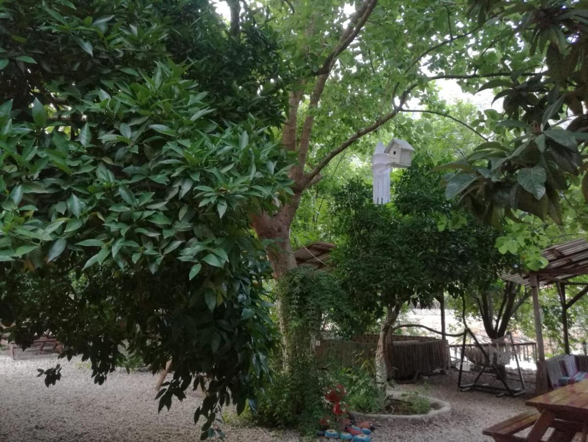 Olympos Yakamoz Pansiyon Exterior foto