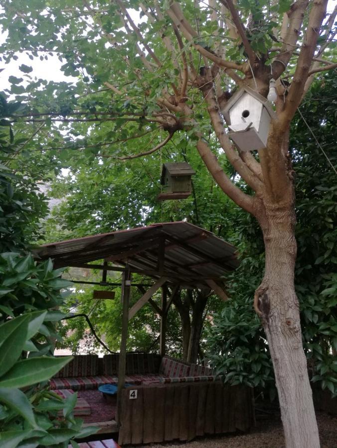 Olympos Yakamoz Pansiyon Exterior foto
