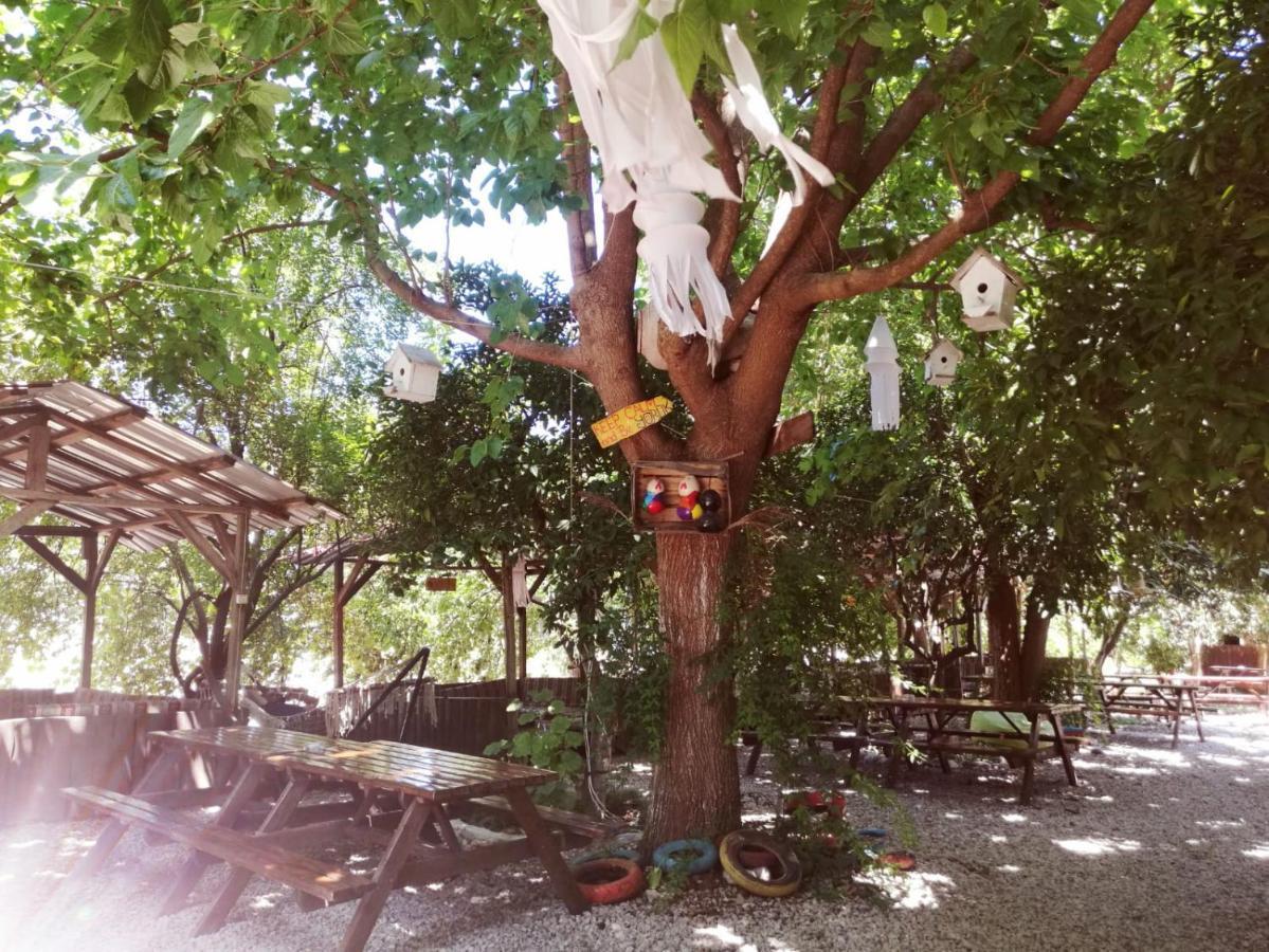 Olympos Yakamoz Pansiyon Exterior foto