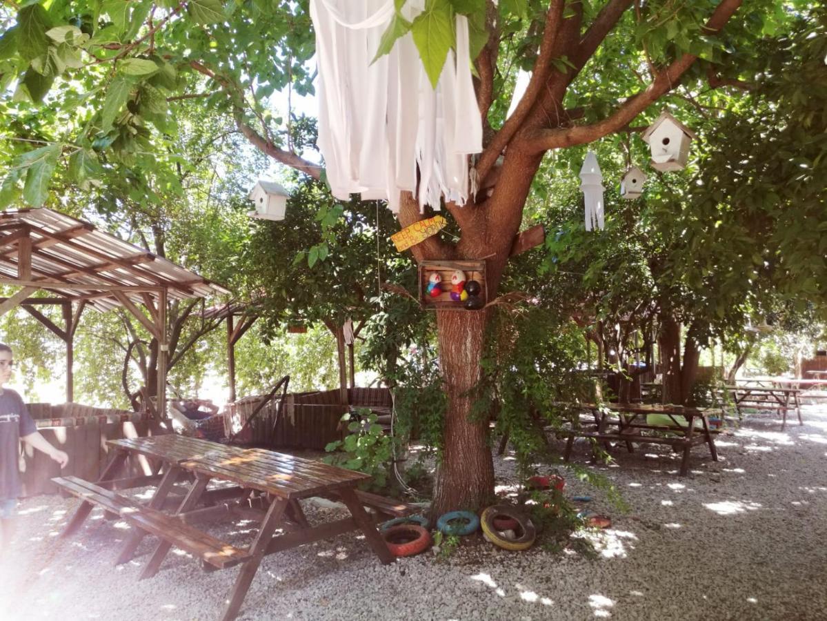 Olympos Yakamoz Pansiyon Exterior foto